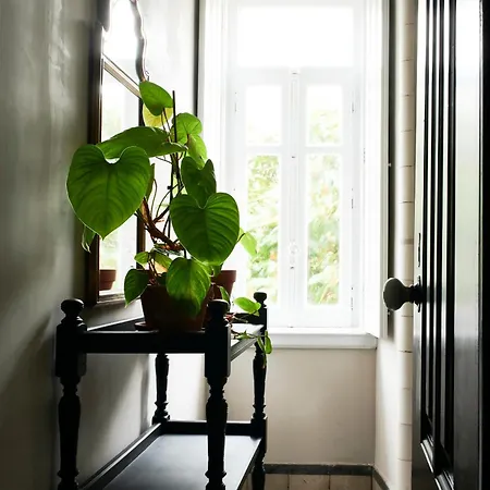 Branca - Palacete 4* פיגואיירה דה פוז