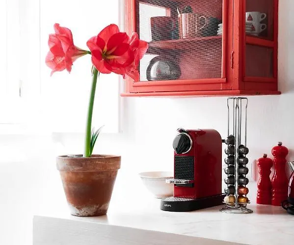 Branca - Palacete ゲストハウス 4*