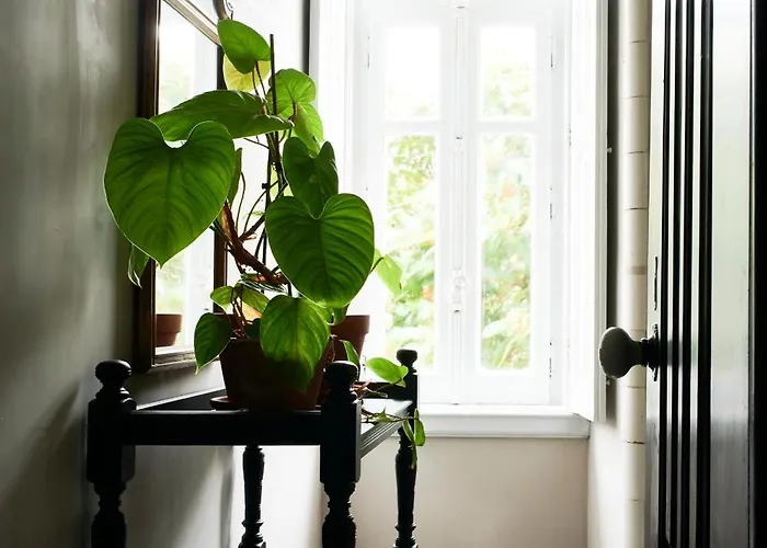 Branca - Palacete 4* フィゲイラ・ダ・フォズ